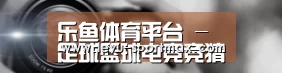 公司动态