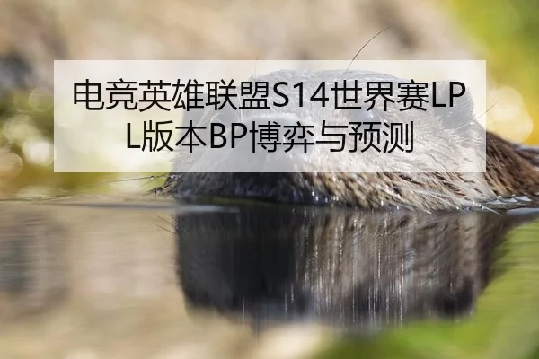 dian-jing-ying-xiong-lian-meng-shi-jie-sai-ban-ben-bo-yi-yu-yu-ce-3-520.jpg